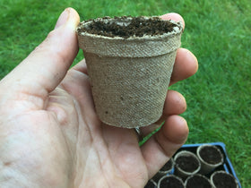 Jiffy POTS 2in pots designed to ease transplant into garden beds.