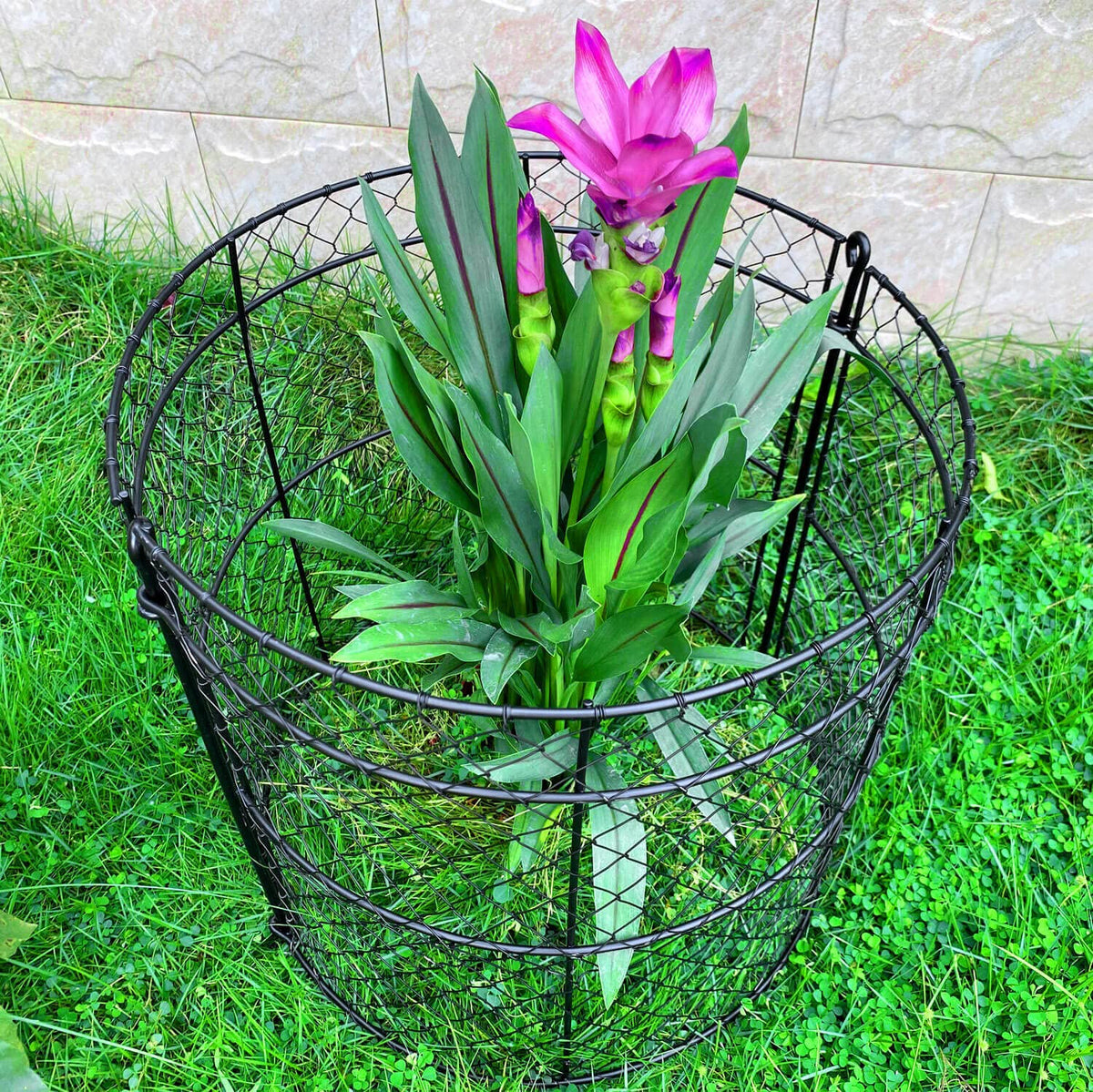 JILLSKY modular cages assembly protects a plant row from garden pests.