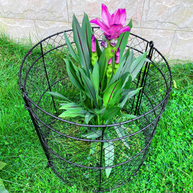 JILLSKY modular cages assembly protects a plant row from garden pests.