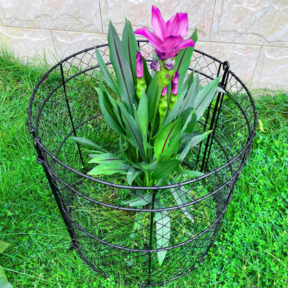 JILLSKY modular cages assembly protects a plant row from garden pests.