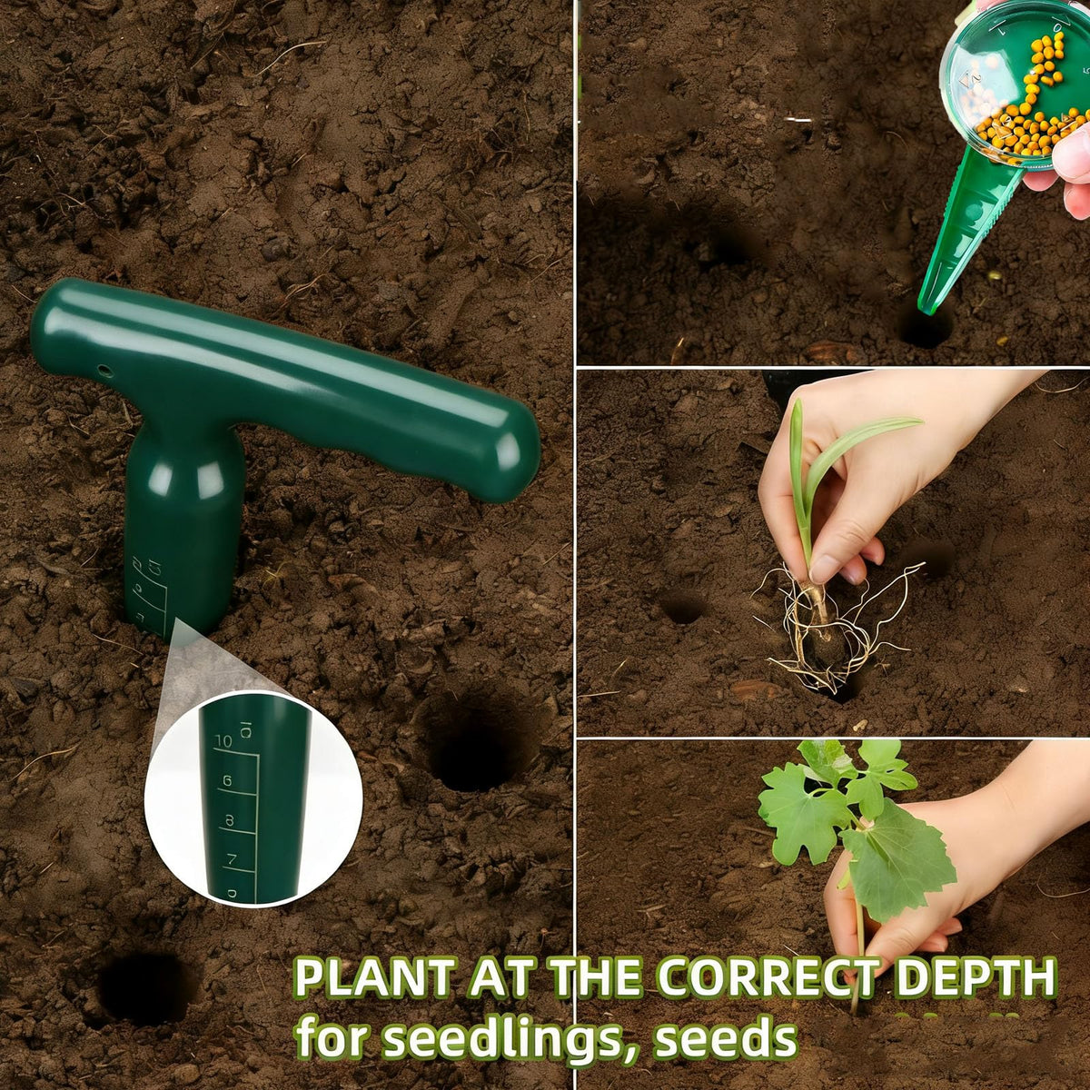 JINFEIDIAN versatile seed planter handles flowers, herbs, and vegetables with consistency.