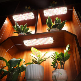 JINHONGTO 10W per panel design keeps energy use low.