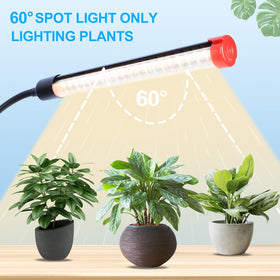 JINHONGTO 360-degree gooseneck allows flexible light positioning