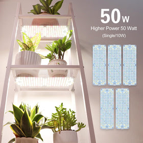 JINHONGTO full-spectrum LEDs provide vibrant light for healthy plant growth.