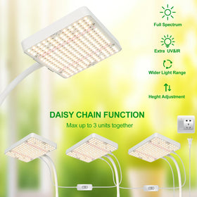 JINHONGTO height-adjustable stand adapts light height for seedlings and mature plants.