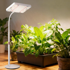 JINHONGTO LED panel UV-IR 660nm highlights bloom-friendly spectrum for flowering plants.