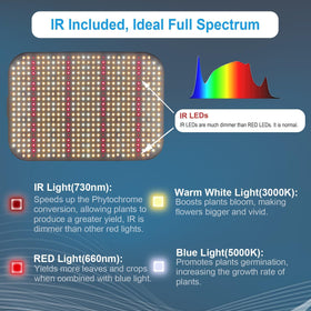 JINHONGTO stepless dimming control adjusts brightness for growth stages