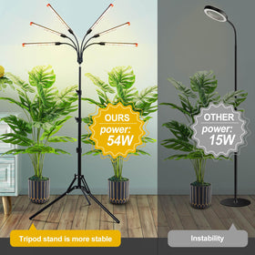 JINHONGTO 60-degree spotlight focuses light on plant tops