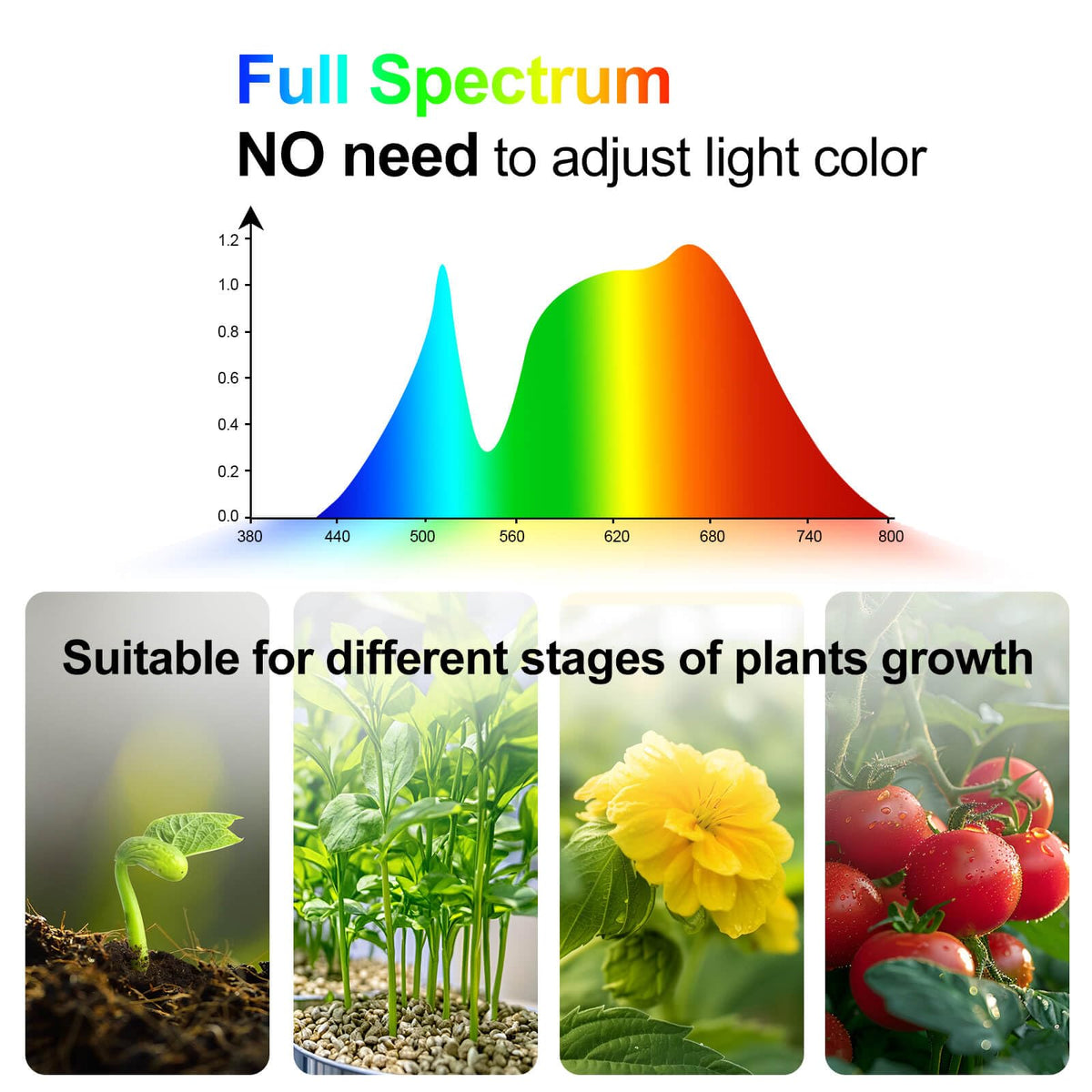JINHONGTO timer modes enable automatic on/off cycles for plant care