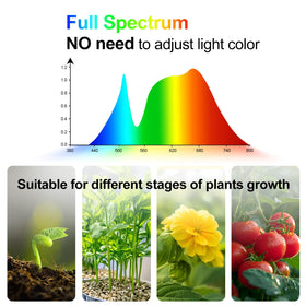 JINHONGTO timer modes enable automatic on/off cycles for plant care