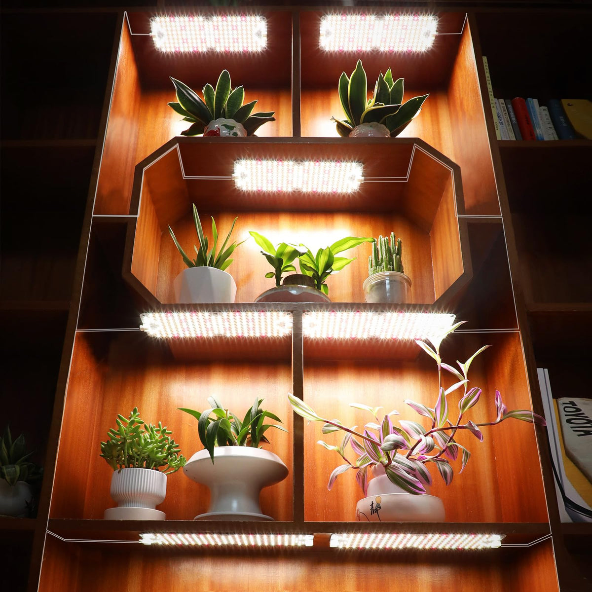 JINHONGTO under-cabinet and shelf lighting for compact indoor gardens.