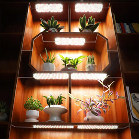 JINHONGTO under-cabinet and shelf lighting for compact indoor gardens.