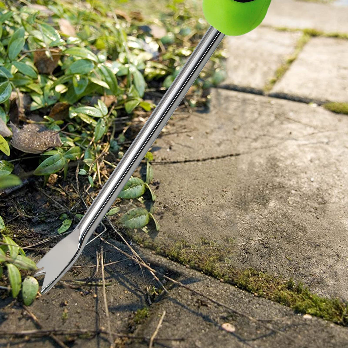 Jiozermi lawn and farmland weeder ideal for beds and lawns.