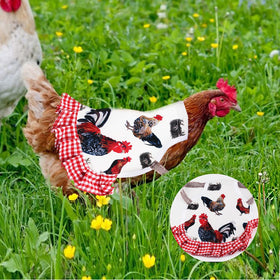 JITEYOU in-house safety support helps feather growth and comfort.