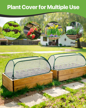 JivaJot ventilated mesh top maintains airflow around young plants