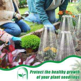 Jixsloft top-vented cloche promotes air flow for healthy growth.