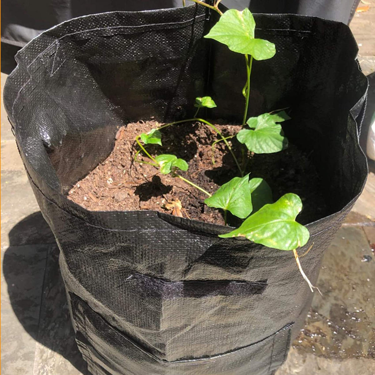 JJGoo 10-gallon reusable garden bag designed for multiple seasons.