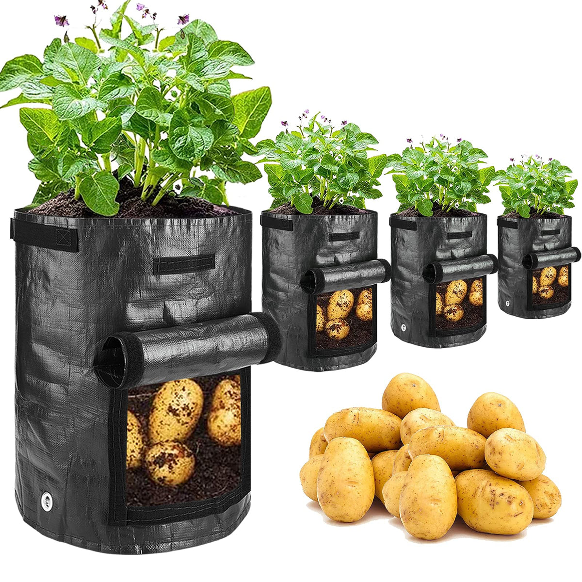 JJGoo potato grow bag 10 gallon ready for patio planting and harvest.