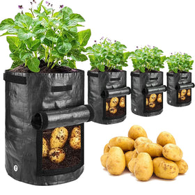 JJGoo potato grow bag 10 gallon ready for patio planting and harvest.