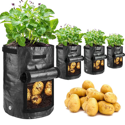 JJGoo potato grow bag 10 gallon ready for patio planting and harvest.