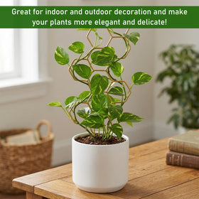 JJUNW Compact 35x14cm Trellis fits most pots and plants.