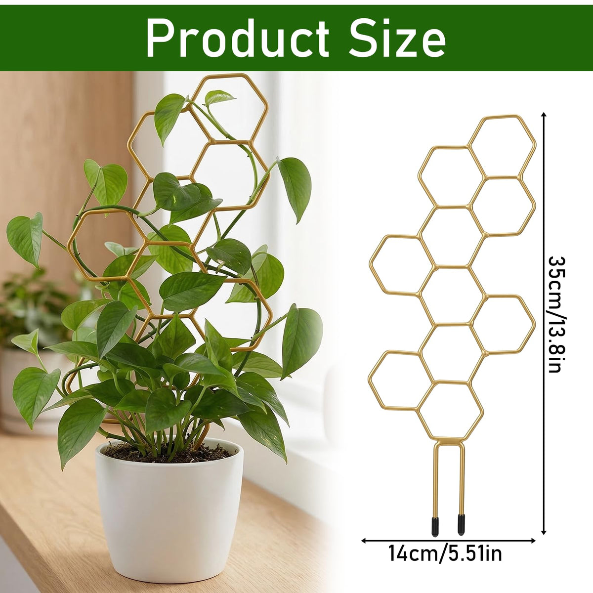JJUNW Gold Finish Climber Support improves visual appeal and plant growth.