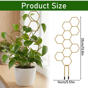 JJUNW Gold Finish Climber Support improves visual appeal and plant growth.