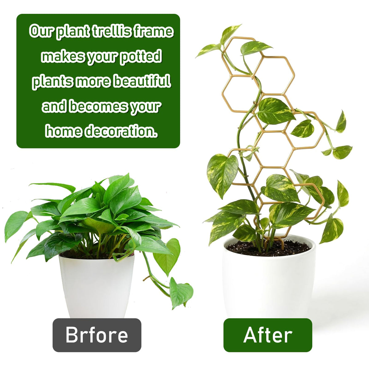 JJUNW Metal Plant Trellis durable and rust-resistant for indoor or outdoor use.