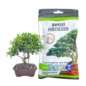 JK Global Imports Bonsai Supply 5oz bottle front for easy monthly feeding