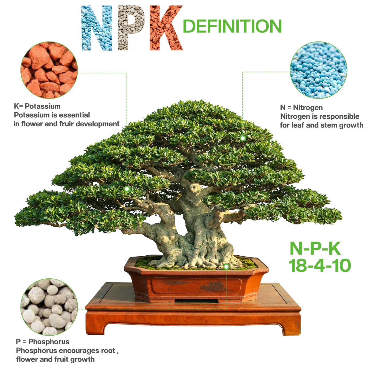 JK Global Imports Bonsai Supply packaging and storage emphasize convenience