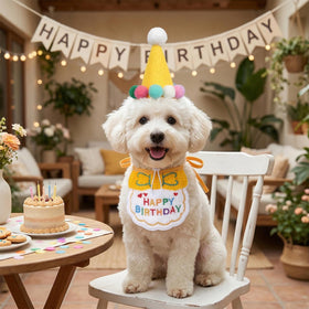 Jmkcoz goose outfit works with small pets for playful decor