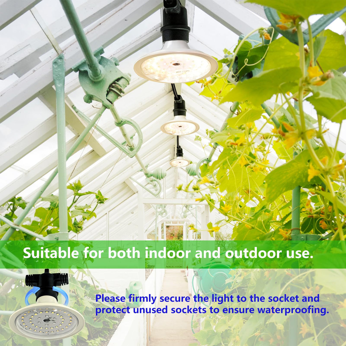 JMXULONG supports germination and growth with optimized spectrum