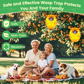JNKNT dual-entry trap captures more wasps.