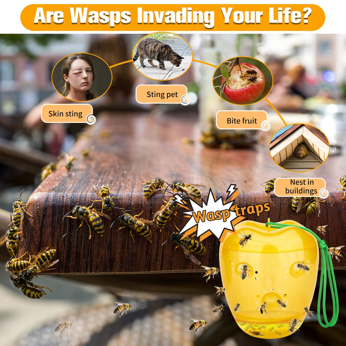 JNKNT Wasp Trap with six entry design improves capture efficiency