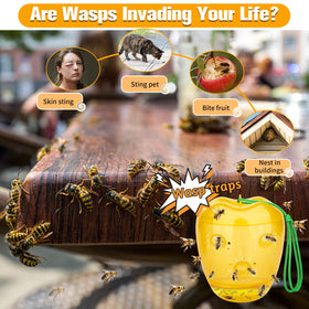 JNKNT Wasp Trap with six entry design improves capture efficiency