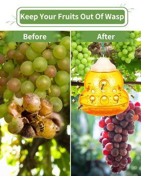 JNKNT Wasp Trap funnel-entry design promotes quick entry of insects.