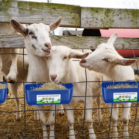 JNYLYFC large-capacity trough suits multiple birds and livestock