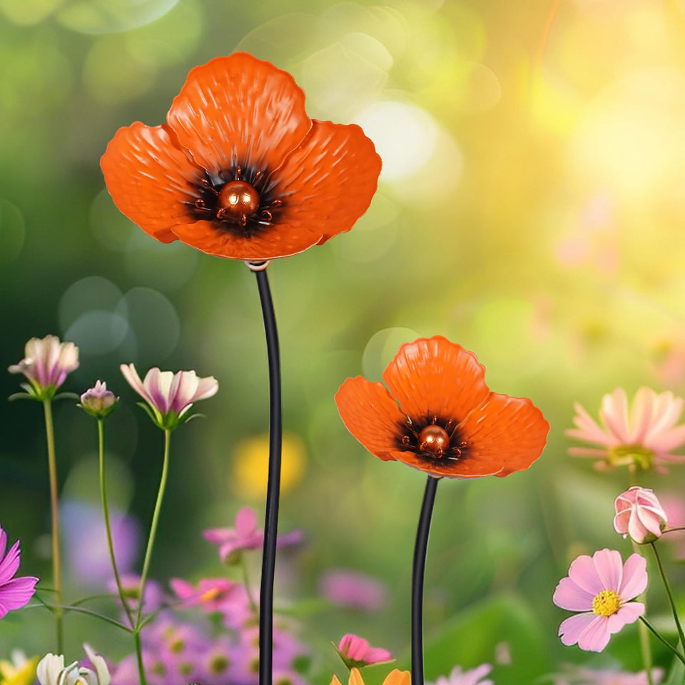 Jo.Devivre orange swaying poppy 38in adds bold focal color to your lawn