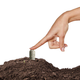 Jobes Organics packaging with quick-start fertilizer tablets for easy use.