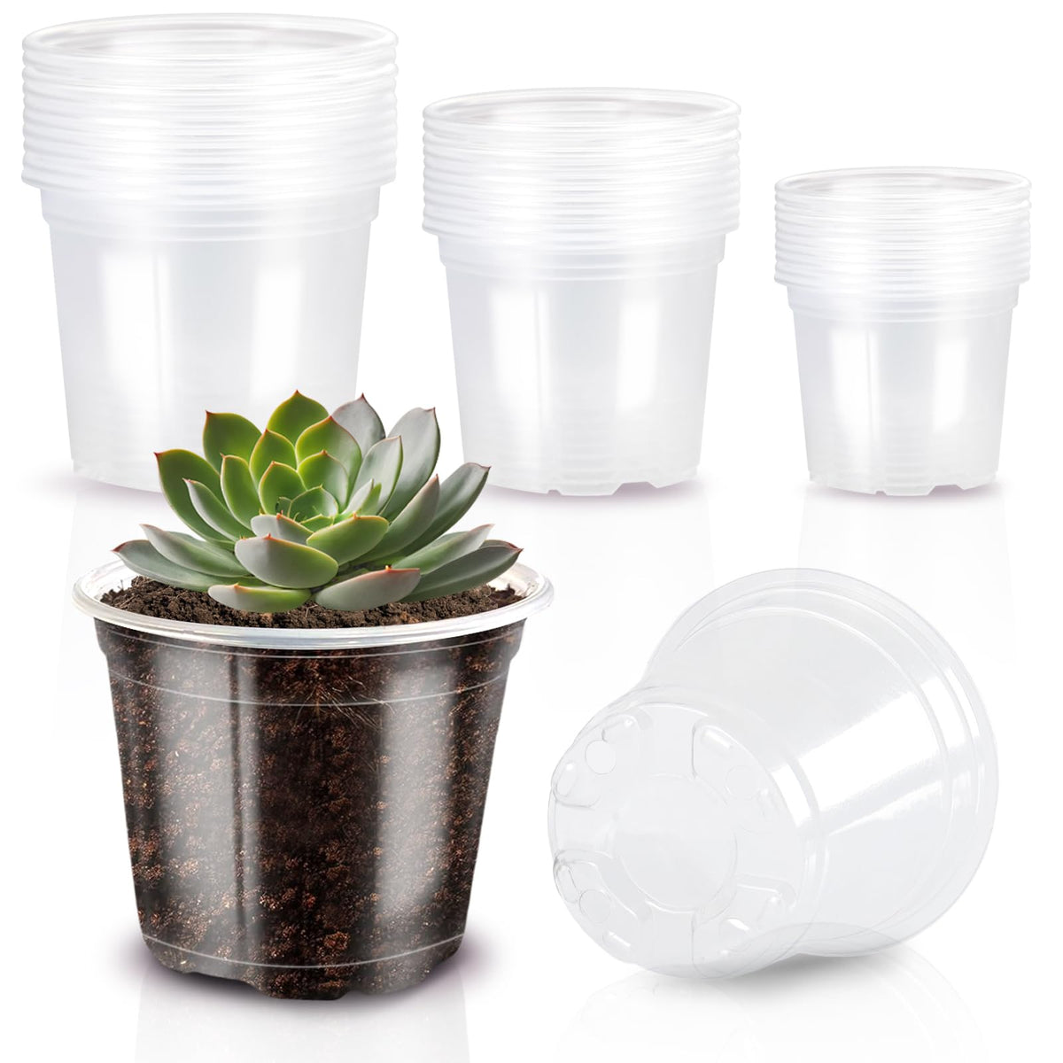 JOBVERT clear nursery pot 3 inch with drainage supports healthy seedling growth