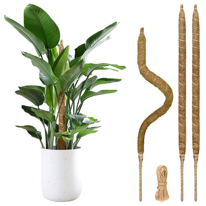 JOBVERT 28-inch moss pole in natural setup supports climbing plants.