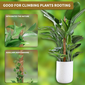 JOBVERT aluminum-core moss pole offers durable shape retention for plants.