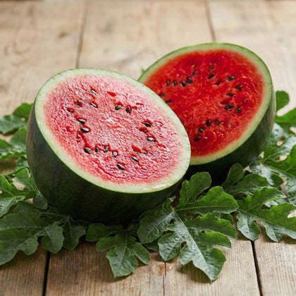 JOCADEW Bush Sugar Baby Watermelon fruit, ideal for pots and small-space container gardens.
