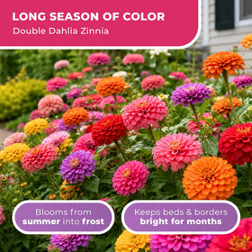 JOCADEW mixed colors create dynamic container displays with bold focal points