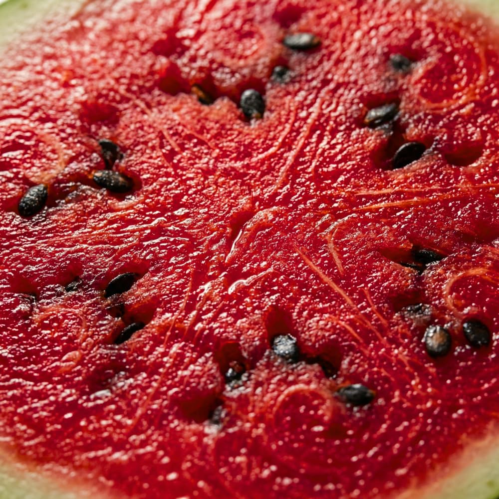 JOCADEW watermelon ripening in sunlit bed signals easy care in open ground.
