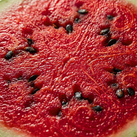 JOCADEW watermelon ripening in sunlit bed signals easy care in open ground.
