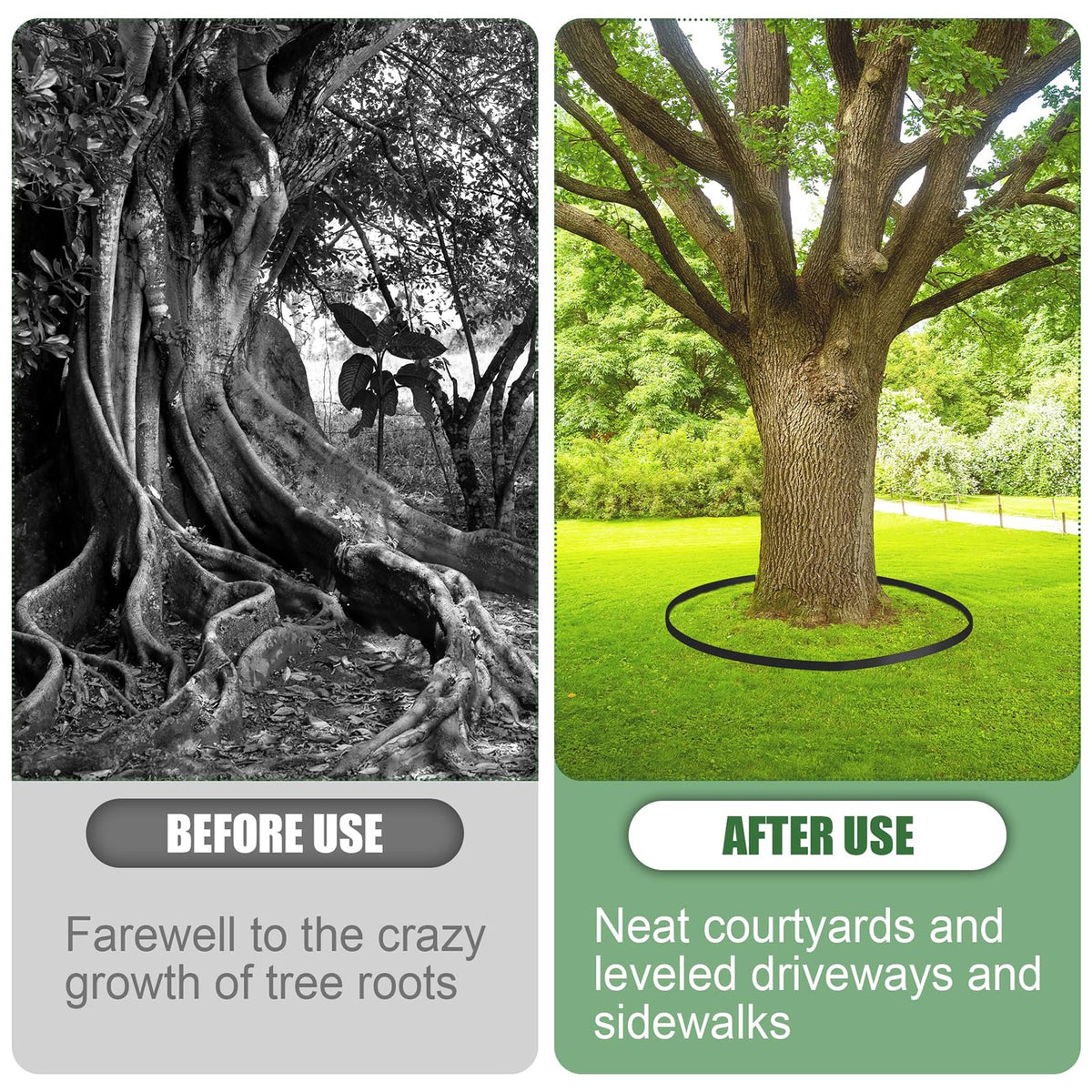 Joewuzun tree ring edging creates defined landscape outlines.