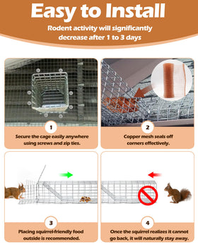 JoeyfulMind 3x3-inch opening guides squirrels safely out.