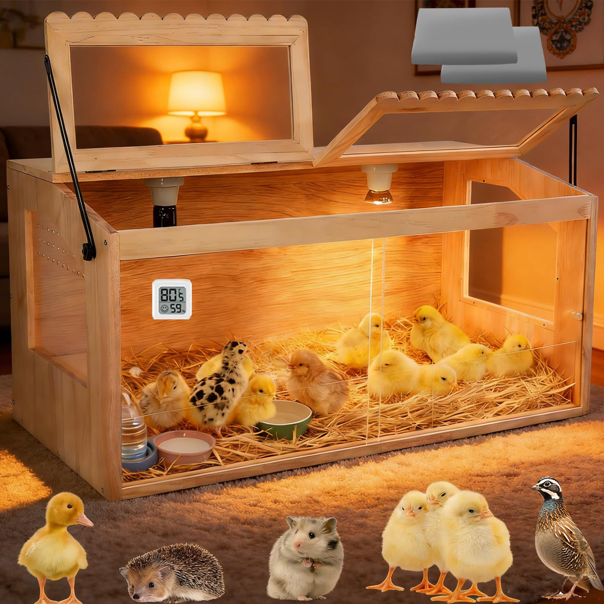JOGEPEYO chicken brooder box front view showing spacious interior for chicks