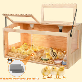 JOGEPEYO included heater, thermometer, and essentials for setup